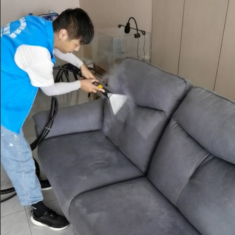 Cleaning sofa C1